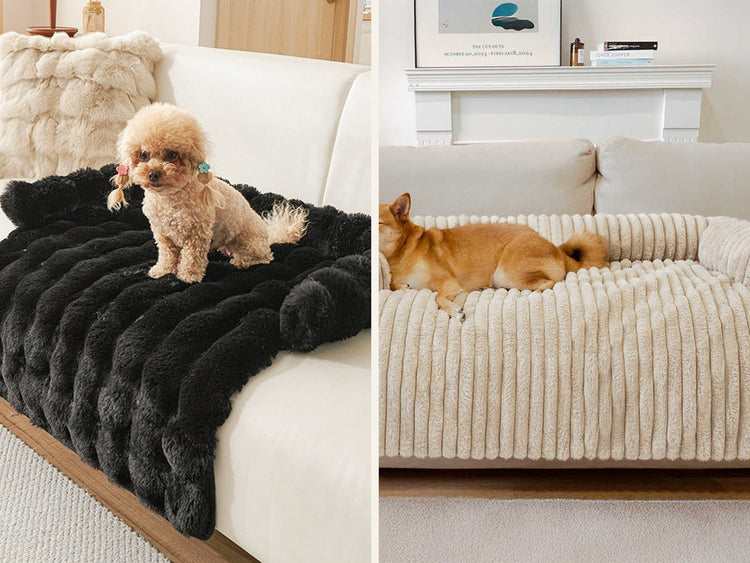 The Cloud and The Haven dog beds by Maison Paws