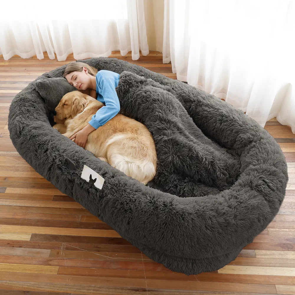 The Companion Lounger in Charcoal with a woman and her dog