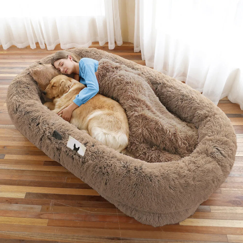 The Companion Lounger in Sandstone with a woman and her dog