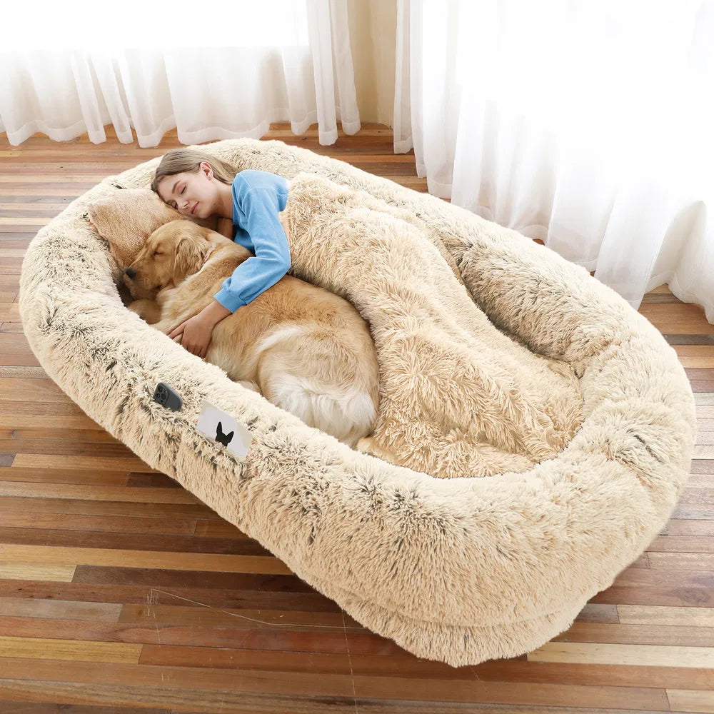 The Companion Lounger in Oatmeal with a woman and her dog
